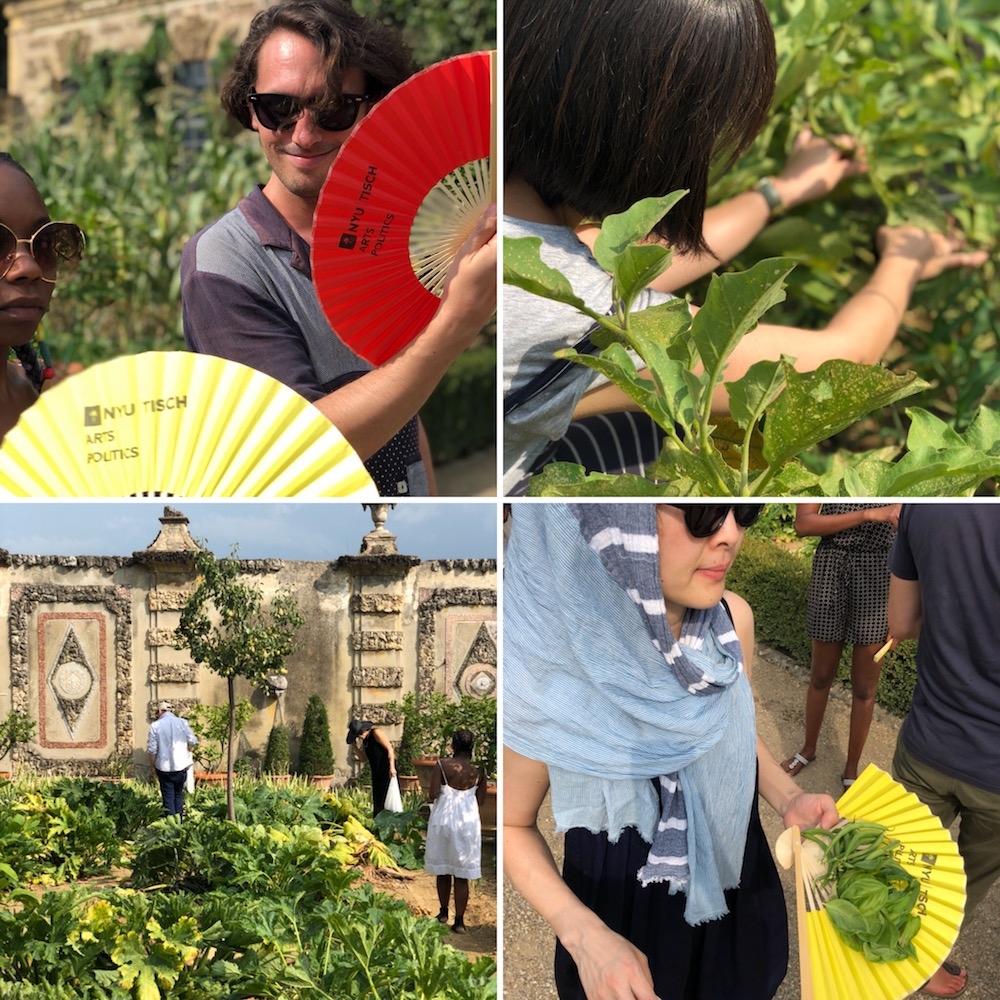 Collage: Upper left is two people holding red and yellow fan; upper right is the back of someone as they pick tomatoes from a vine; bottom left is three people spread throughout the garden as they harvest vegetables; bottom left is one person carrying vegetables on a yellow Arts Politics fan shes wearing a scarf and sungflasses